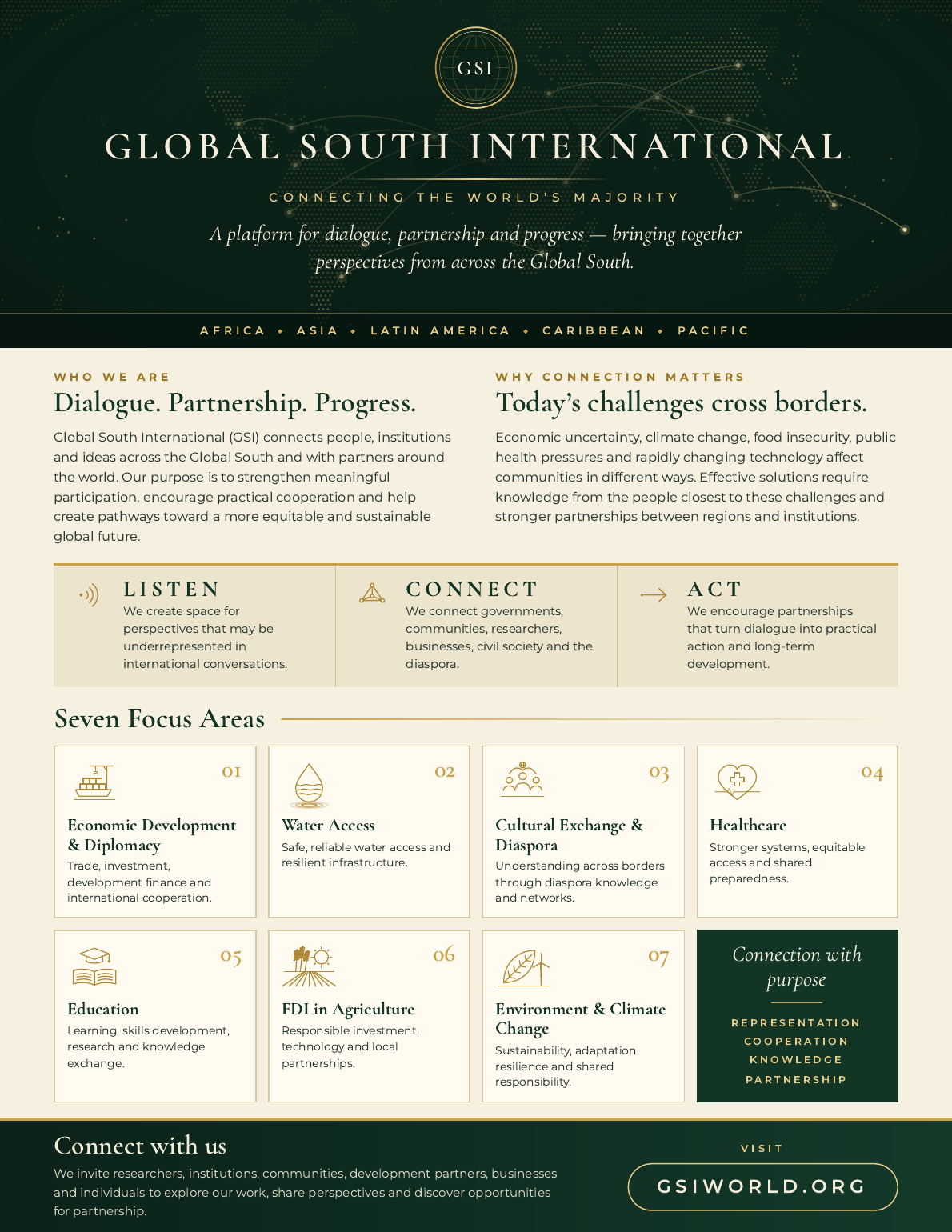Global South International organizational flyer preview